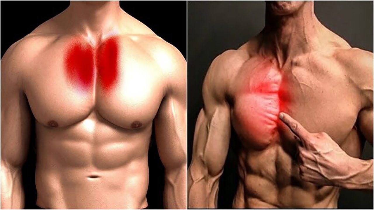 Cơ ngực trong nằm ở vị trí nào? 5 Bài tập ngực tròng dành cho nam giới