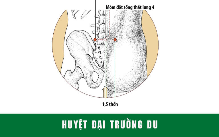 phuong-phap-massage-bam-huyet-tri-benh-dau-lung-1
